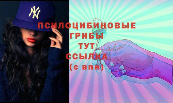 гидропоника Алзамай